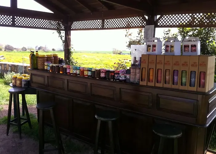 Guler 博兹贾阿达岛